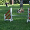 agility 2011-08